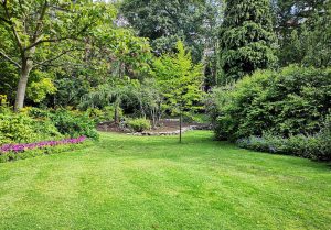 Optimiser l'expérience du jardin à Ville-sur-Saulx